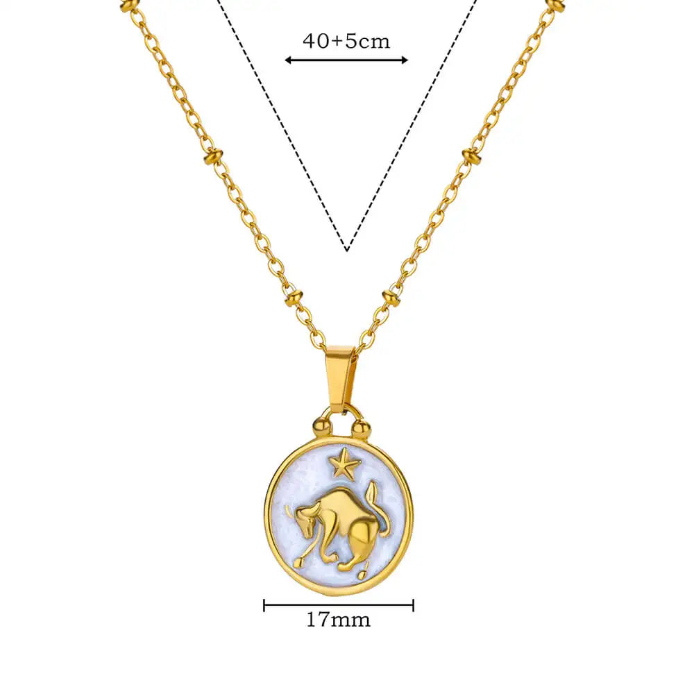 Dainty Zodiac Sign Necklace